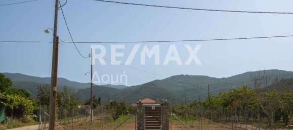 5 bedrooms Commercial property in Koropi, Greece No. 8638 15