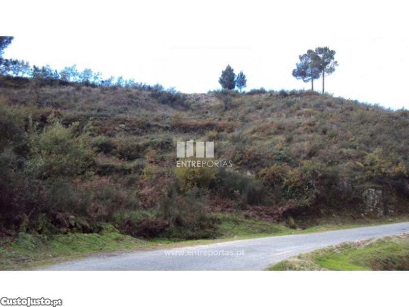 Grundstück in Marco de Canaveses, Portugal 27000m², Nr. 55086