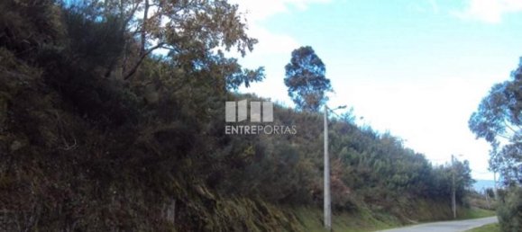 Grundstück in Marco de Canaveses, Portugal 27000m², Nr. 55086 3