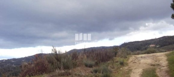 Grundstück in Marco de Canaveses, Portugal 27000m², Nr. 55086 5