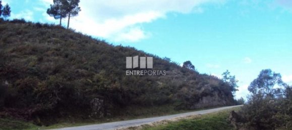 Grundstück in Marco de Canaveses, Portugal 27000m², Nr. 55086 2