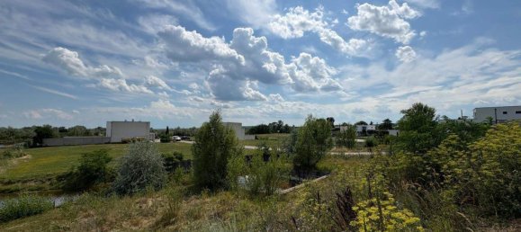 Terreno em Oggau am Neusiedler See, Austria N.º 218829 3