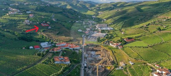 Дом с 3 спальнями в Пезу да Регуа, Португалия № 174335 47