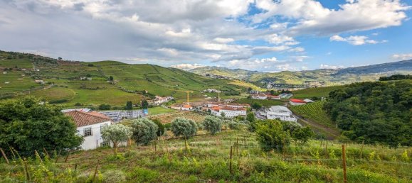 Дом с 3 спальнями в Пезу да Регуа, Португалия № 174335 39