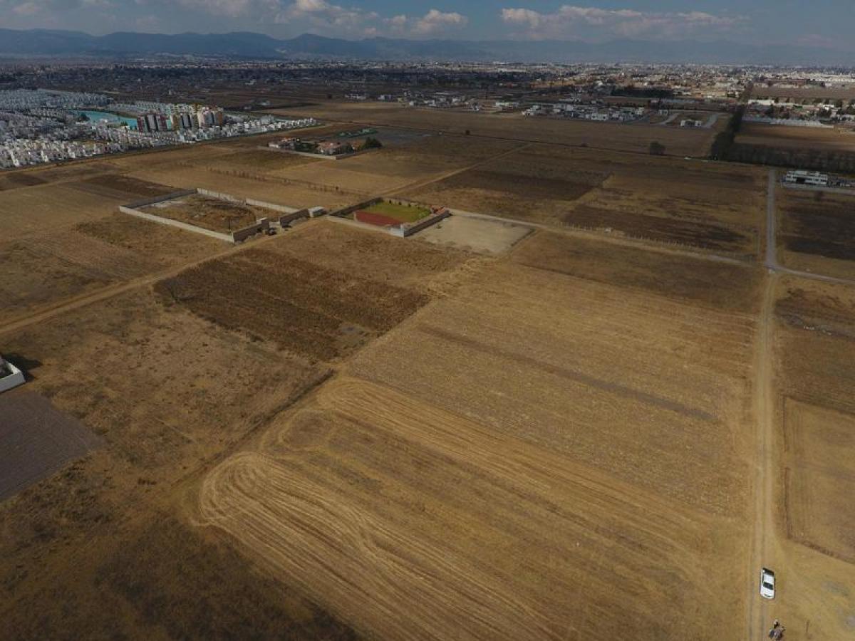  Land in Mexico No. 205249