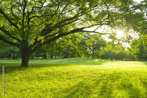 Земельный участок в Оффенбах, Германия № 162382