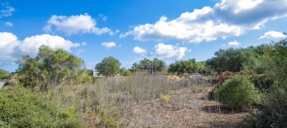 4 bedrooms Finca in Sant Lluis, Spain No. 1456 6