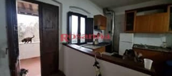 6 غرف نوم شقة في Collesalvetti, Italy رقم 323884 2