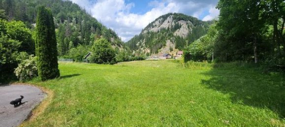 6 bedrooms House in Jura, France No. 354110 2