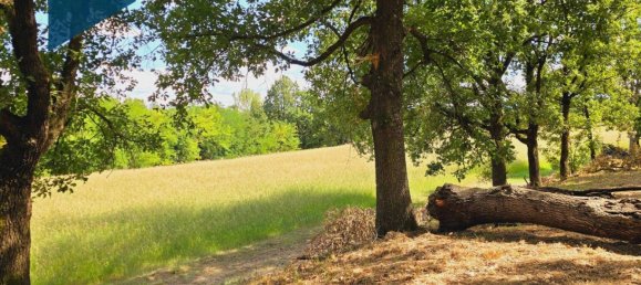 6 bedrooms House in Gazzola, Italy No. 282045 39