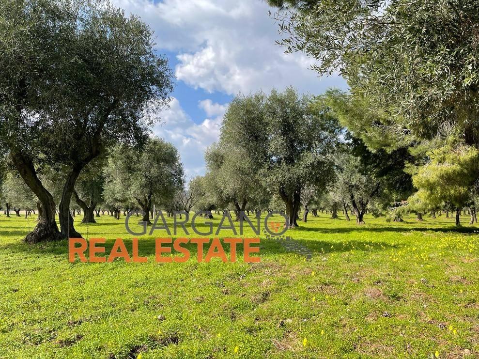 Grundstück in Vieste, Italy 13817m², Nr. 149288