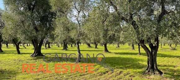 Grundstück in Vieste, Italy 13817m², Nr. 149288 2