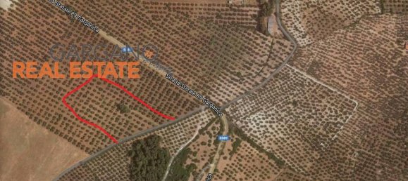 Grundstück in Vieste, Italy 13817m², Nr. 149288 14