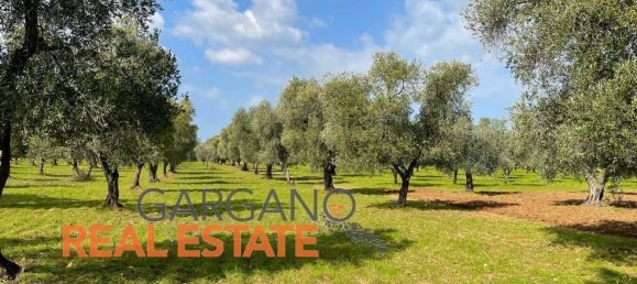 Grundstück in Vieste, Italy 13817m², Nr. 149288 9