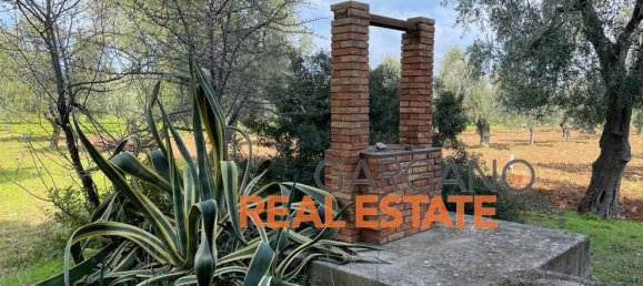 Grundstück in Vieste, Italy 13817m², Nr. 149288 6