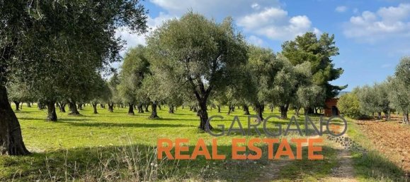 Grundstück in Vieste, Italy 13817m², Nr. 149288 5