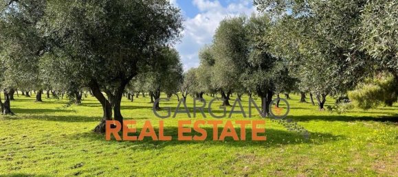 Grundstück in Vieste, Italy 13817m², Nr. 149288 4