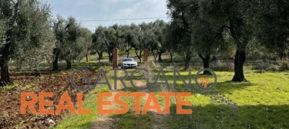 Grundstück in Vieste, Italy 13817m², Nr. 149288 11