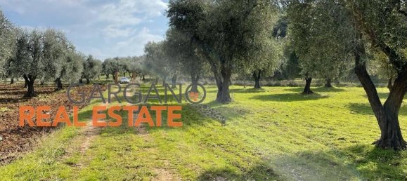 Grundstück in Vieste, Italy 13817m², Nr. 149288 10