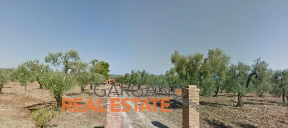 Grundstück in Vieste, Italy 13817m², Nr. 149288 13