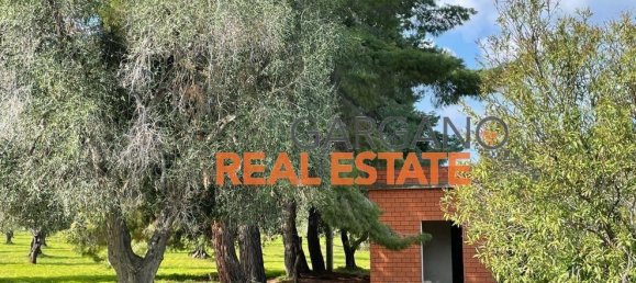 Grundstück in Vieste, Italy 13817m², Nr. 149288 7