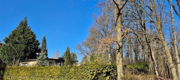 3-Zimmer Haus in Oder-Spree, Germany, Nr. 95625 6