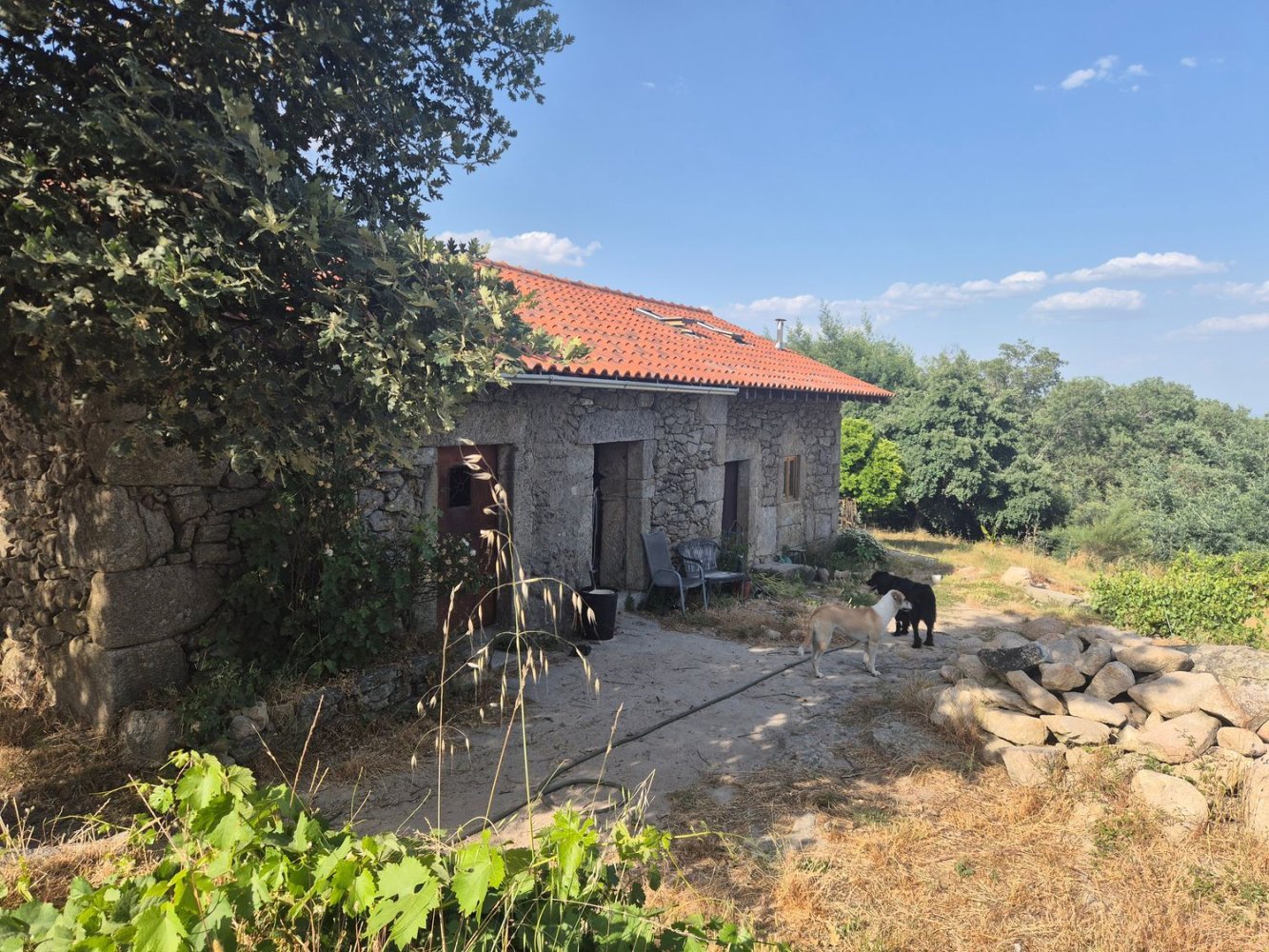 1 chambre Maison à Fundao, Portugal No. 191311