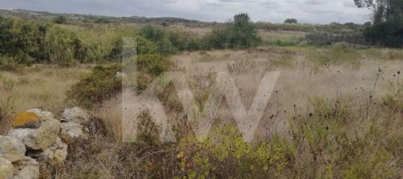 Terreno em Sintra, Portugal N.º 68654 15