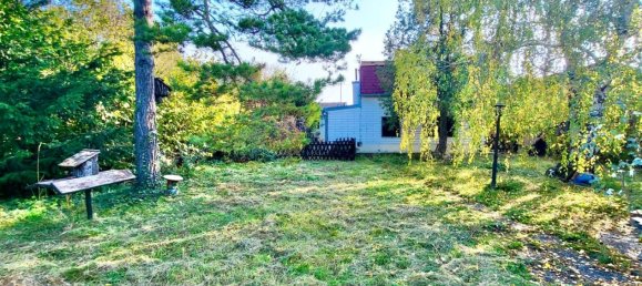  Commercial property in Liesing, Austria No. 137167 5