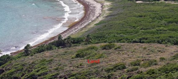  Hotel in Saint George Basseterre, Saint Kitts and Nevis No. 111 3