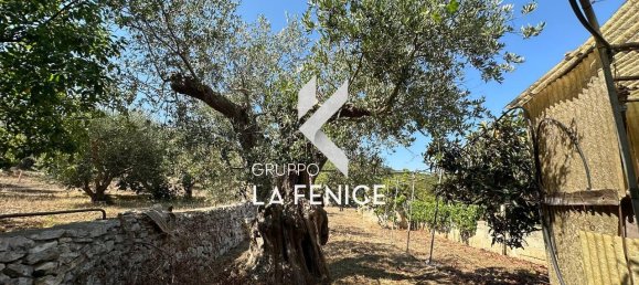 6غرفة منزل في Locorotondo, Italy رقم 69333 7