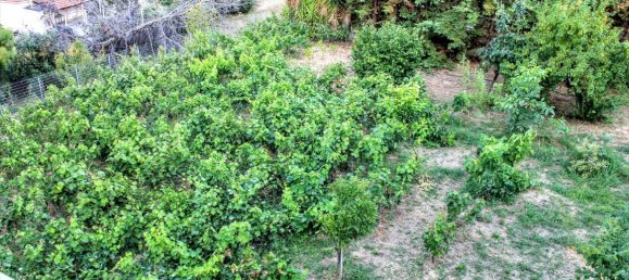 4 غرف نوم فيلا في Euboea, Greece رقم 6138 21