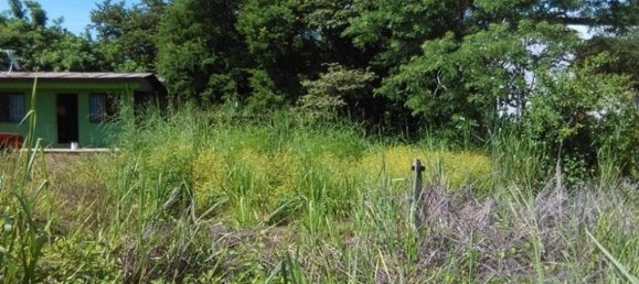  Land in Liberia, Costa Rica No. 1393 2