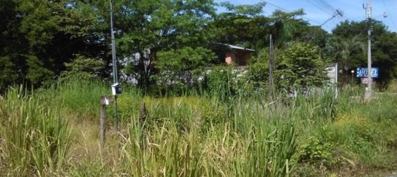  Land in Liberia, Costa Rica No. 1393 5