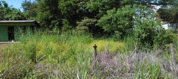  Land in Liberia, Costa Rica No. 1393 4