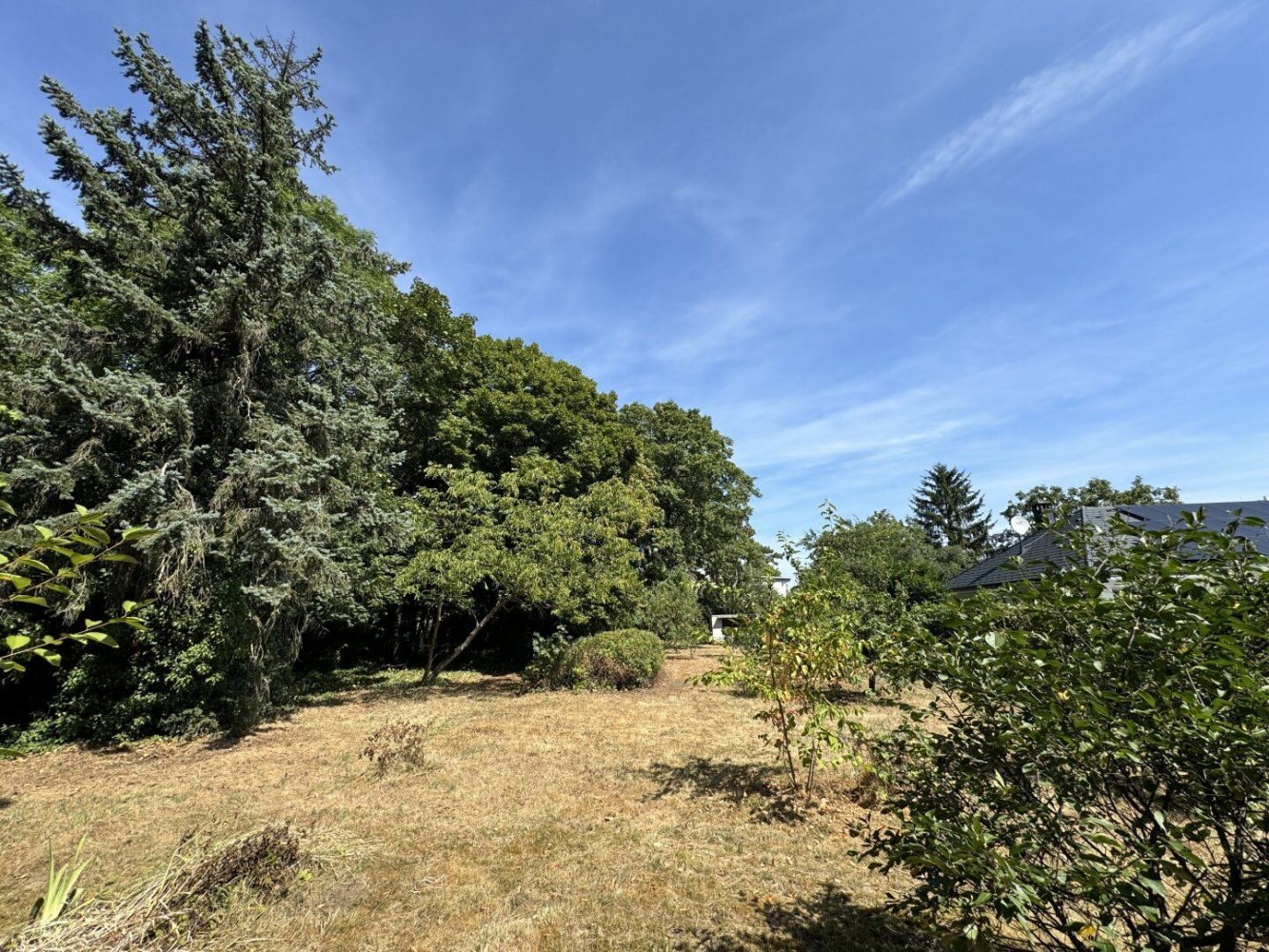  Land in Liesing, Austria No. 117257