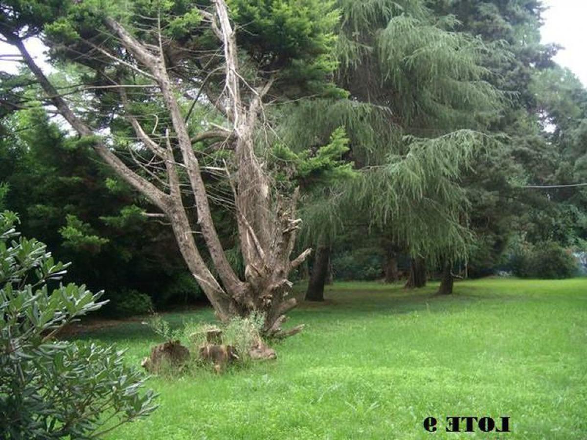  Land in Jose C. Paz, Argentina No. 115193