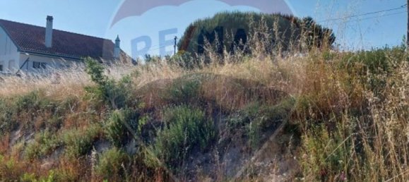 4 Schlafzimmer Haus in Soure, Portugal, Nr. 177914 31