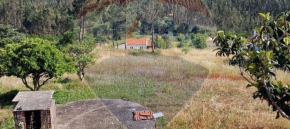 4 Schlafzimmer Haus in Soure, Portugal, Nr. 177914 6