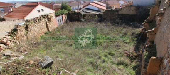 Terrain à Zamora, Spain 404m² No. 63786 6