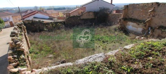 Terrain à Zamora, Spain 404m² No. 63786 5