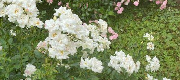 3 غرف نوم شقة في Vienna, Austria رقم 207125 56