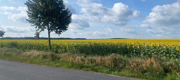 Casa T2 em Potsdam-Mittelmark, Germany N.º 51042 4