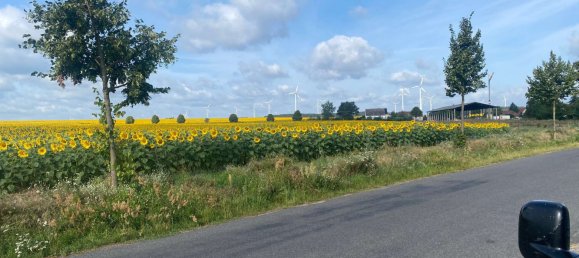 Casa T2 em Potsdam-Mittelmark, Germany N.º 51042 7