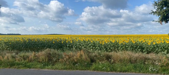 Casa T2 em Potsdam-Mittelmark, Germany N.º 51042 5