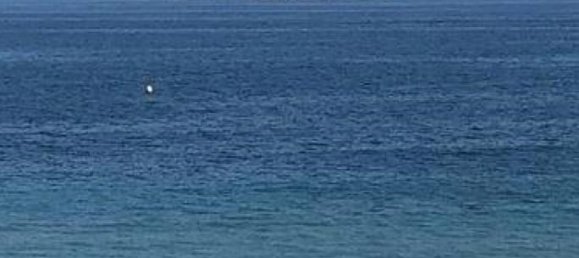 4 bedrooms Apartment in Benidorm, Spain No. 4229 9