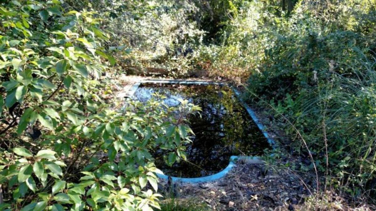  Farm in Moreno, Argentina No. 40280