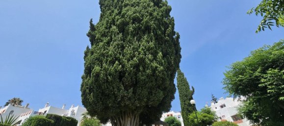 Moradia em banda T4 em Estepona, Spain N.º 152722 14