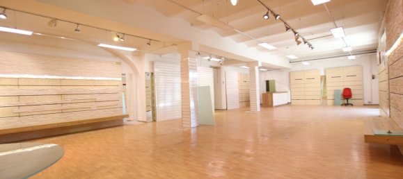 Gebäude in Feldkirchen in Kärnten, Austria 550m², Nr. 238635 10