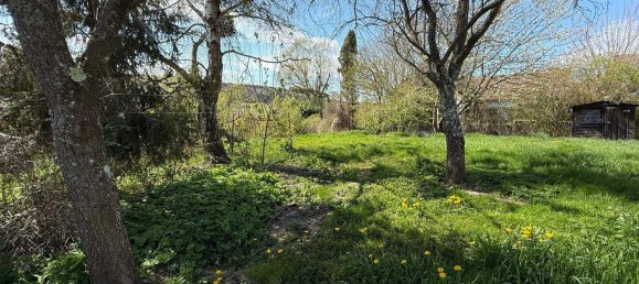 2 rooms House in Gerersdorf-Sulz, Austria No. 187761 15